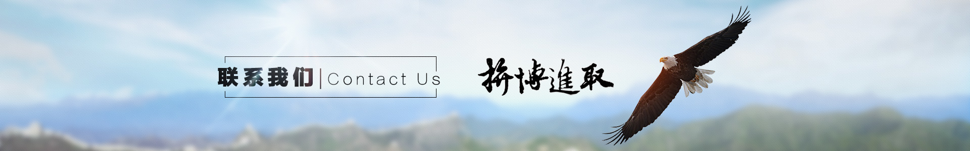 聯(lián)系我們