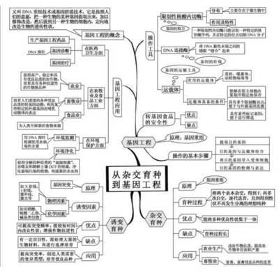高考生物一輪復習必備知識網絡導圖 學霸高效策略